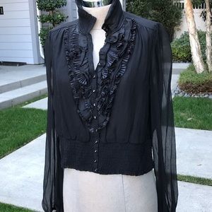 BEAUTIFUL BEBE SHEER SILK CROPPED BLOUSE.